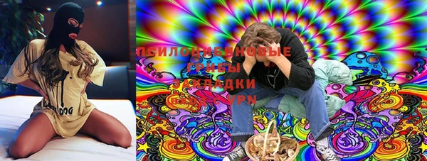 ГАЛЛЮЦИНОГЕННЫЕ ГРИБЫ Алексеевка