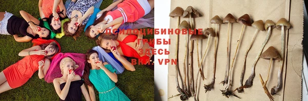 дурь Абаза